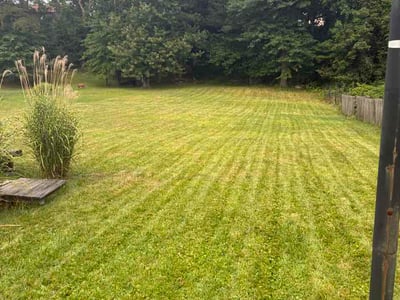 Lawn Care service in Bethel Park, 15102