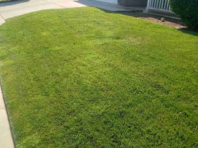 Lawn Care service in Eureka, 95501