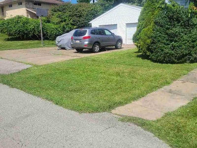 Lawn Care service in McKees Rocks, 15136