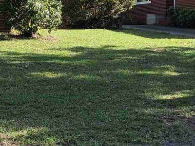 Lawn Care service in Supply, 28462