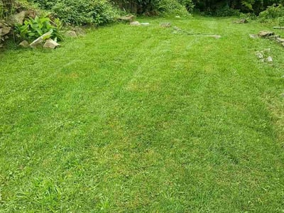 Lawn Care service in McKees Rocks, 15136