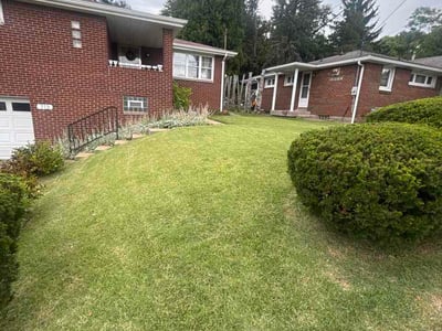 Lawn Care service in West Mifflin, 15122