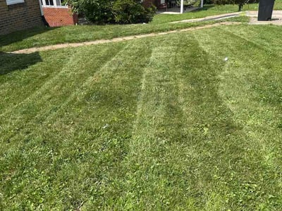 Lawn Care service in West Mifflin, 15122