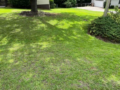Lawn Care service in West Covina, 91790