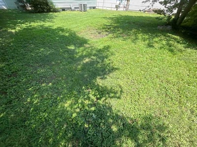 Lawn Care service in Ruther Glen, 22546