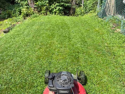 Lawn Care service in Duquesne, 15110