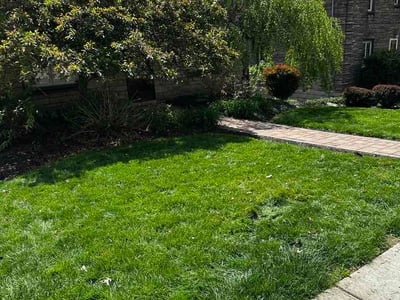 Lawn Care service in Imperial, 15126