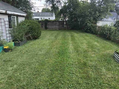 Lawn Care service in Mckeesport, 15132