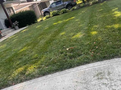 Lawn Care service in Mckeesport, 15132