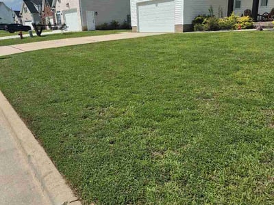 Lawn Care service in Mebane, 27302