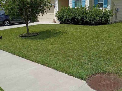 Lawn Care service in Brunswick, 31520