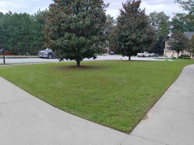Lawn Care service in Branson, 65616