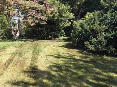 Lawn Care service in Havertown, 19083