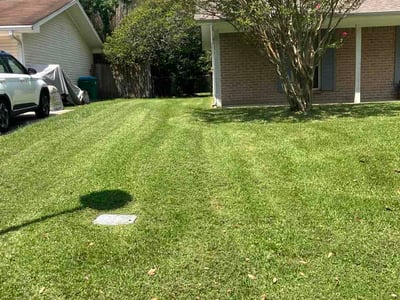 Lawn Care service in Texarkana, 71854