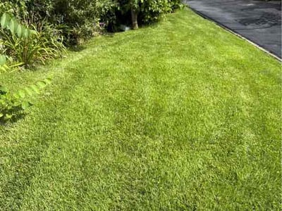 Lawn Care service in Havertown, 19083