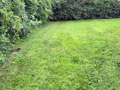 Lawn Care service in Havertown, 19083
