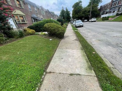 Lawn Care service in Havertown, 19083