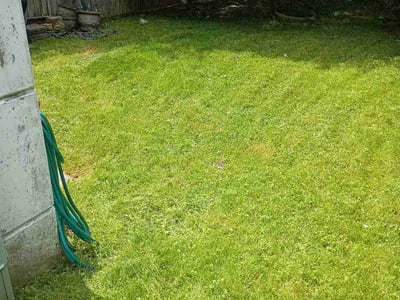 Lawn Care service in Havertown, 19083