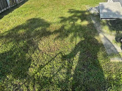 Lawn Care service in Homestead, 33030