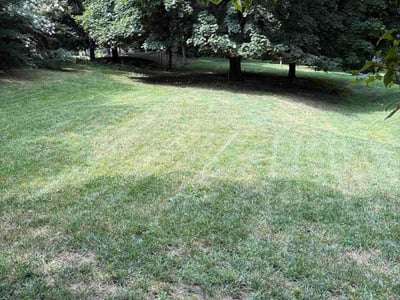 Lawn Care service in Havertown, 19083