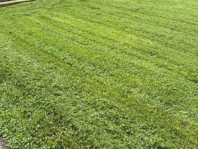 Lawn Care service in Greensburg, 15601