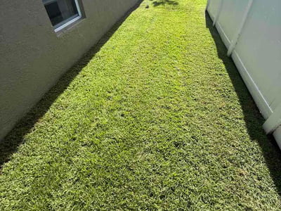 Lawn Care service in Homestead, 33030