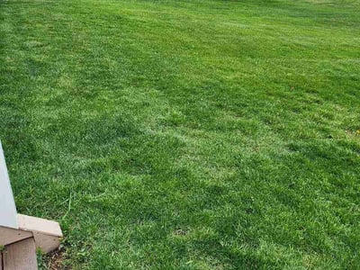 Lawn Care service in Cedar Falls, 50613