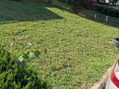 Lawn Care service in Sevierville, 37862