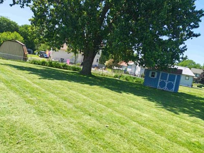 Lawn Care service in Janesville, 53545