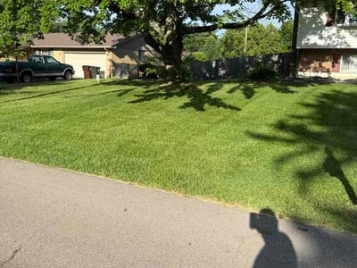 Lawn Care service in Pottsville, 17901