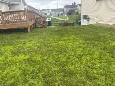 Lawn Care service in Kaysville, 84037