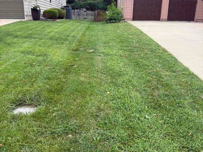 Lawn Care service in Kaysville, 84037
