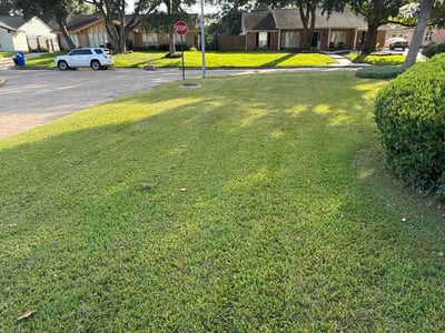 Lawn Care service in Laredo, 78040