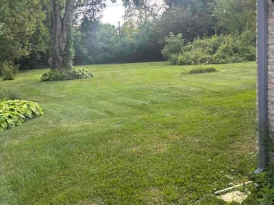 Lawn Care service in Weirton, 26062