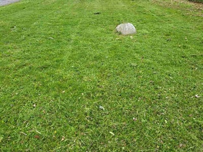 Lawn Care service in Oshkosh, 54901