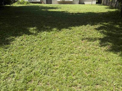Lawn Care service in Warr Acres, 73179