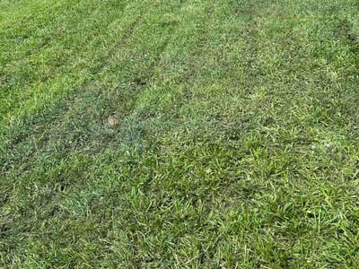 Lawn Care service in Woonsocket, 02895