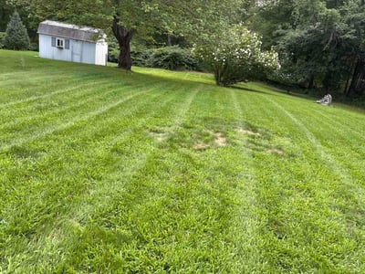 Lawn Care service in Woonsocket, 02895