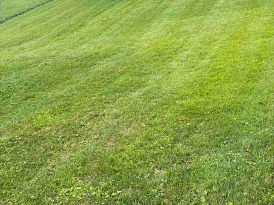 Lawn Care service in Dunbar, 15431