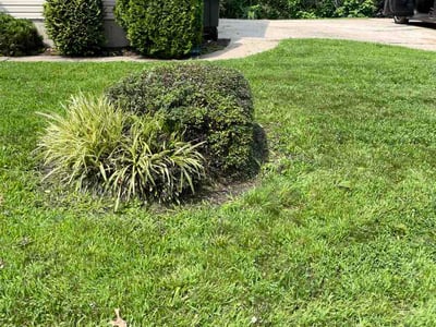 Lawn Care service in Southbury, 06488