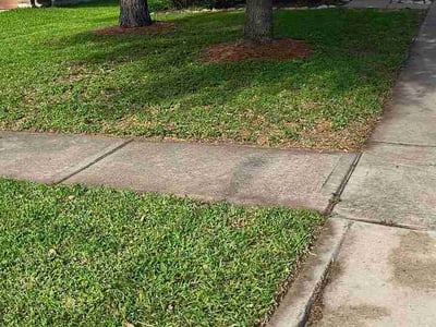 Lawn Care service in Texarkana, 75501