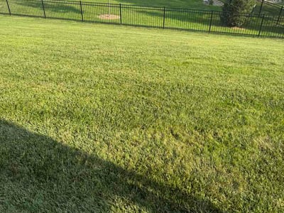 Lawn Care service in Iowa City, 52240