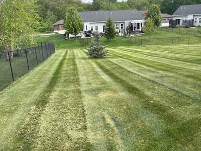 Lawn Care service in Iowa City, 52240