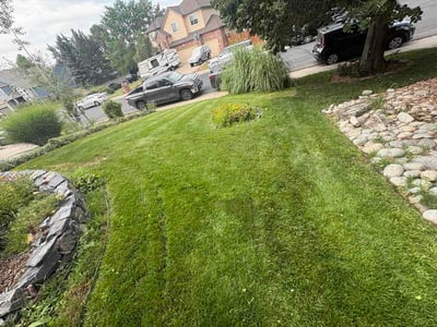 Lawn Care service in Brighton, 80601
