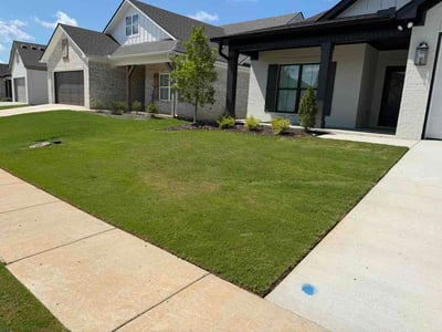 Lawn Care service in Northport, 35476