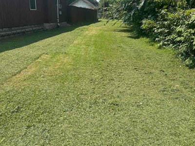 Lawn Care service in Terre Haute, 47807
