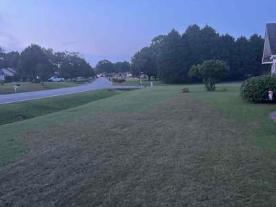 Lawn Care service in Albany, 31701