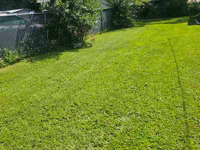 Lawn Care service in West Bend, 53095