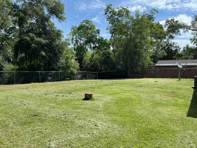 Lawn Care service in Albany, 31701