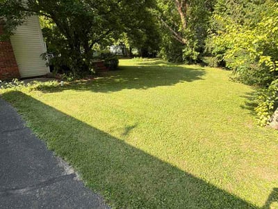 Lawn Care service in Washington, 15301